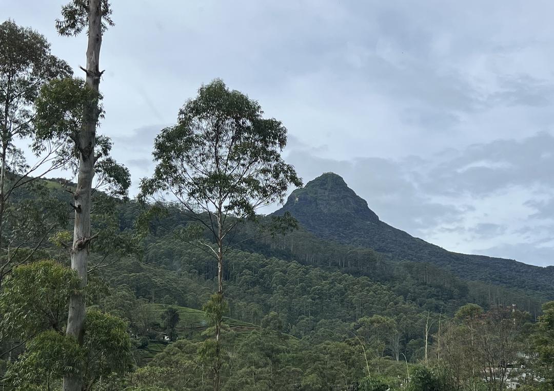 SriPada Adam's Peak