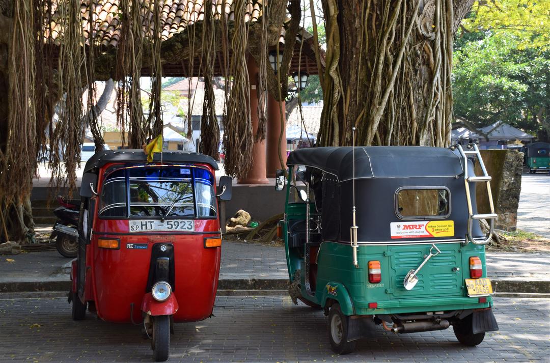 tuk tuk rental