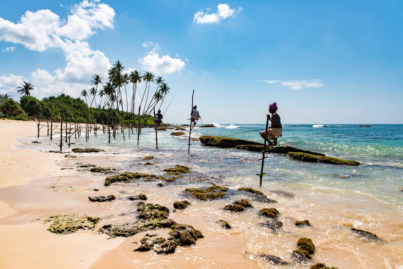 Whale Watching at Mirissa — March is Peak Season
